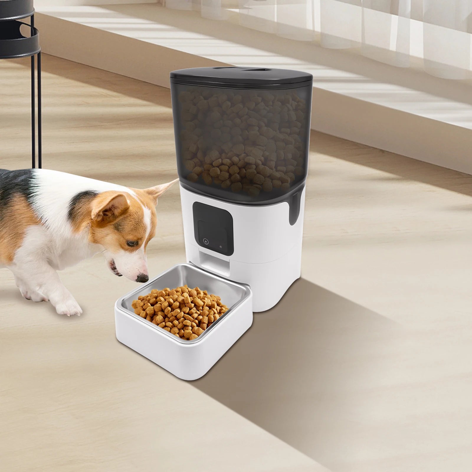 Automatic Cat Feeder & Pet food dispenser