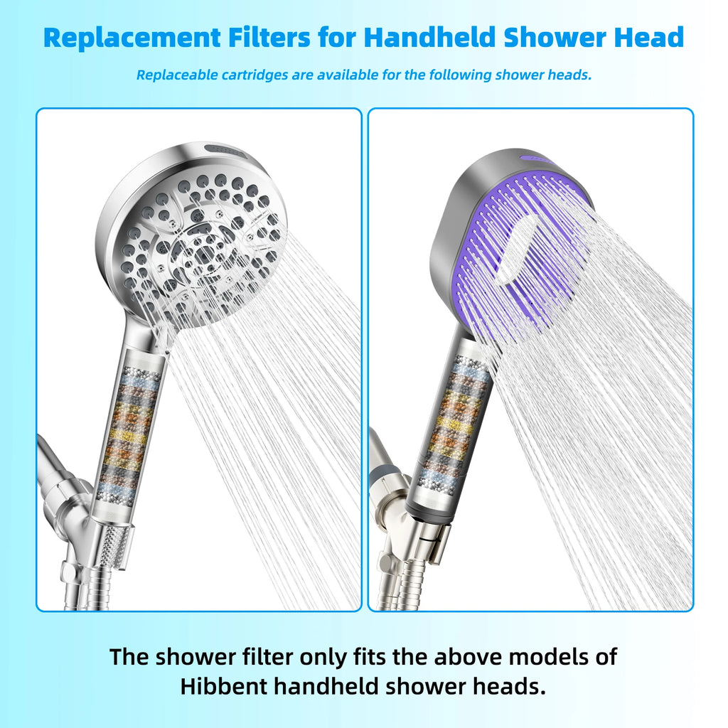 Filtered Shower Head with Purification